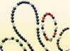 �u���X���b�g�ʐ^
